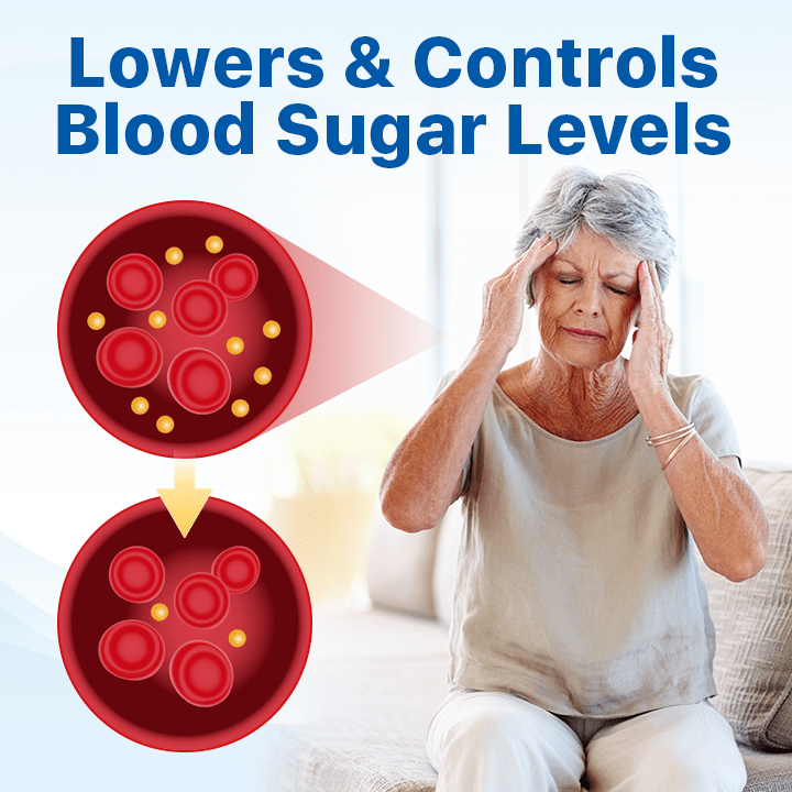 Slimoly™ Dual-Action Blood Sugar & Lipid Balance Patch